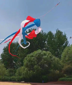 Grote 6 Meter 3D Regenboog Vlieger - Krachtige Outdoor Speelgoed Vlieger voor Plezier