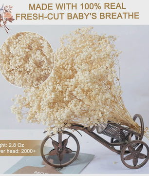 60g Gedroogde Baby's Breath Bloemboeket - Natuurlijke Gypsophila Decoratie