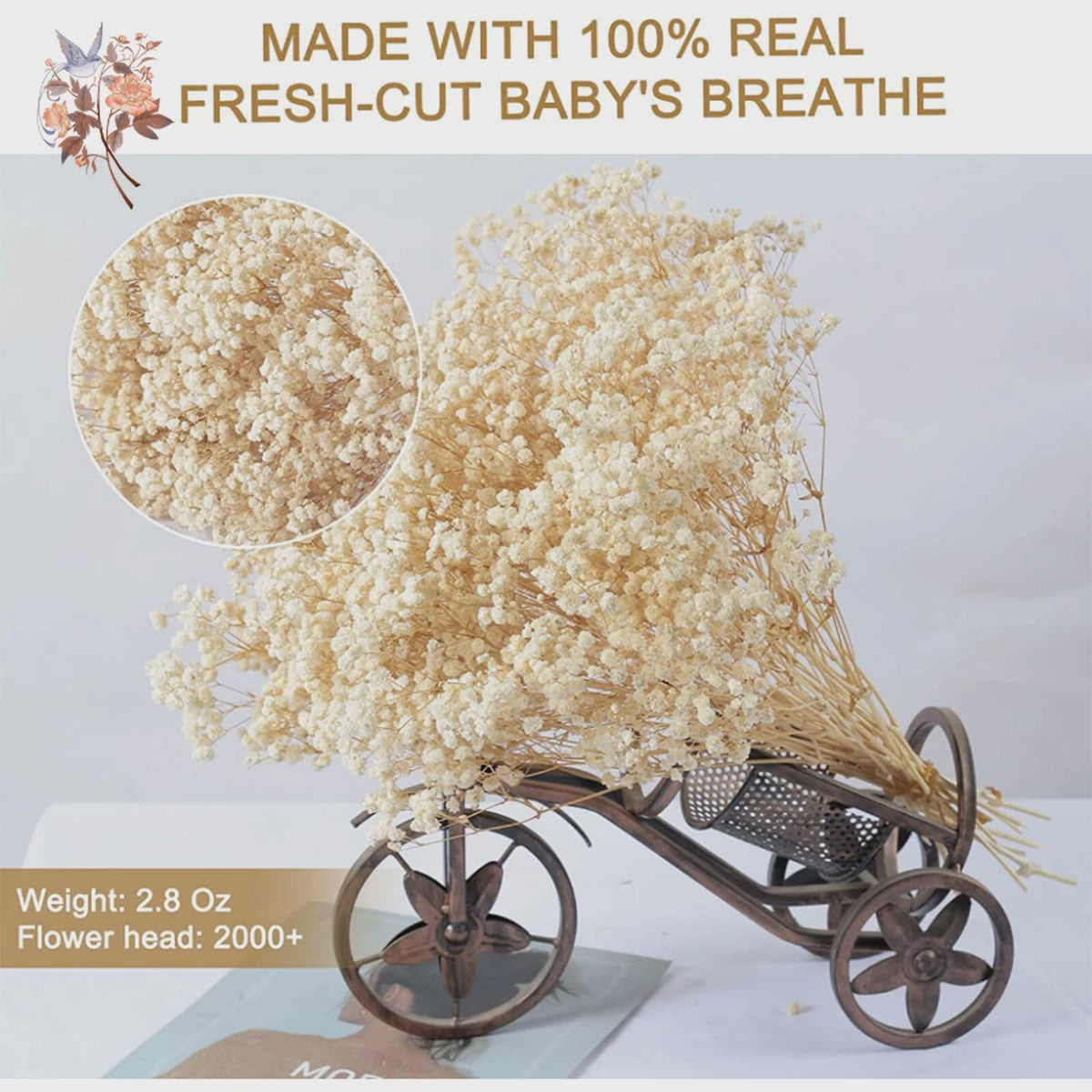 60g Gedroogde Baby's Breath Bloemboeket - Natuurlijke Gypsophila Decoratie