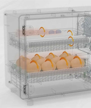 Volautomatische Broedmachine voor 24 Eieren met Lade-Type Automatische Draaier en Touchscreen