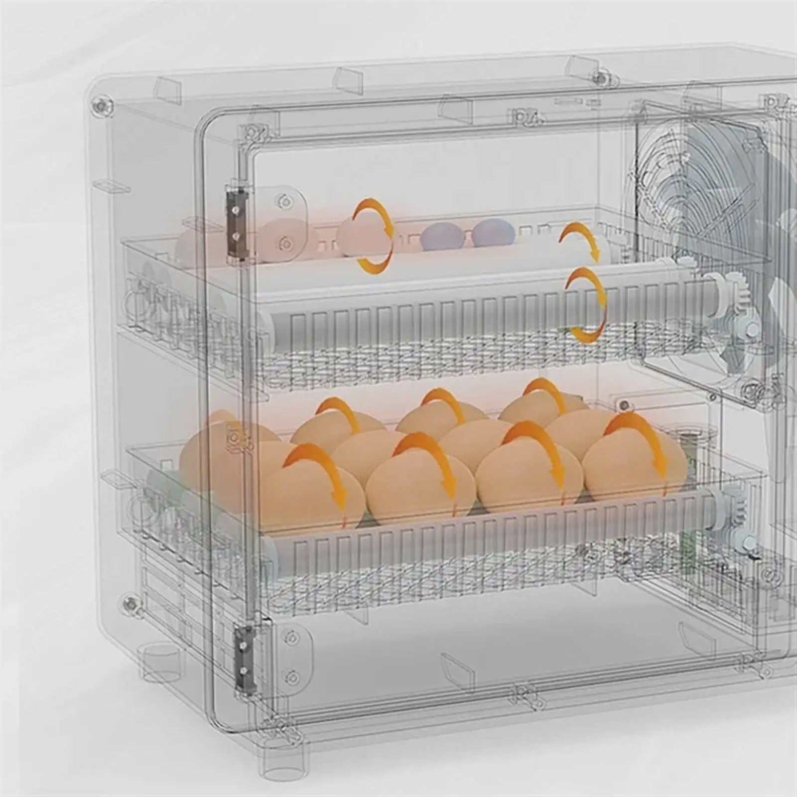 Volautomatische Broedmachine voor 24 Eieren met Lade-Type Automatische Draaier en Touchscreen