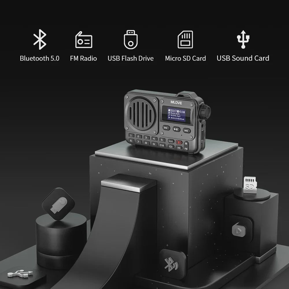 MLOVE BV800 Draagbare Bluetooth Speaker met FM Radio, LCD Scherm, AUX, USB & TF Kaart