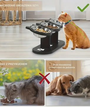 Verhoogde Voerbak Set voor Katten en Honden met 3 RVS Bakjes en Verstelbare Hoogte