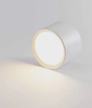 Moderne LED Plafondspot - Opbouw Downlight met 3 Kleurtemperaturen