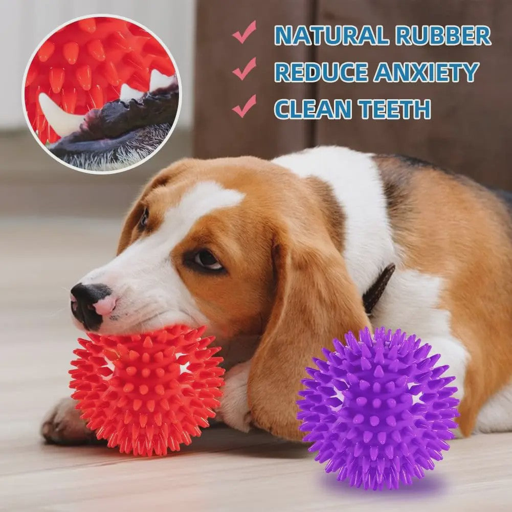 Hondenballen met Piepje - Spiky Speelgoed Ballen voor Tandverzorging en Plezier - Set van 36