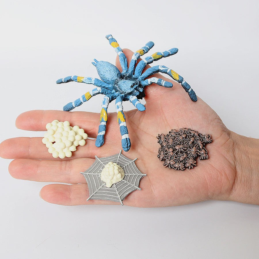Montessori Levenscyclus Insecten Speelgoed: Spin, Duizendpoot, Schorpioen & Mier