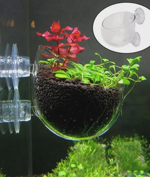 Aquarium Plantenbakje met Zuignap - Glas/Acryl Voederbakje & Plantenhouder