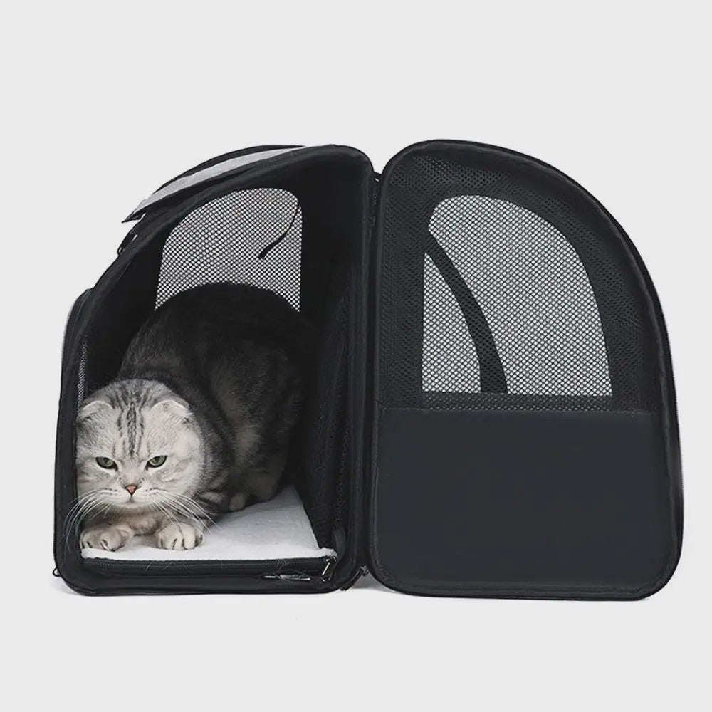 Uitbreidbare Huisdierenrugzak: Grote Capaciteit, Ademend & Opvouwbaar voor Katten, Honden & Motorrijden