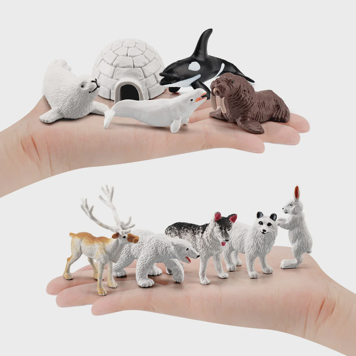 Set van 10 Arctische Dieren Figuren - Realistische Poolbeer, Zeehond, Walrus & Meer