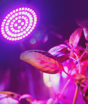 Full Spectrum LED Groeilamp E27 80 LEDs - Plantenlamp voor Binnenkweek