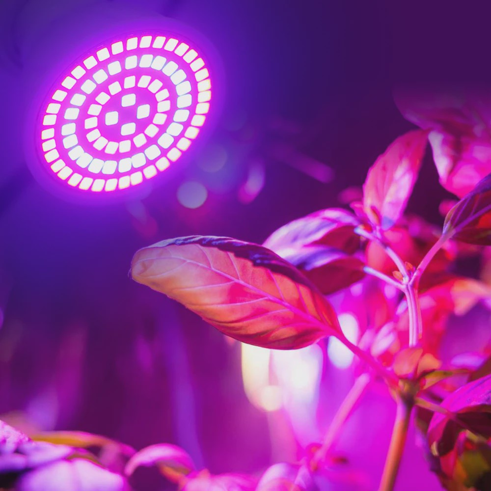 Full Spectrum LED Groeilamp E27 80 LEDs - Plantenlamp voor Binnenkweek