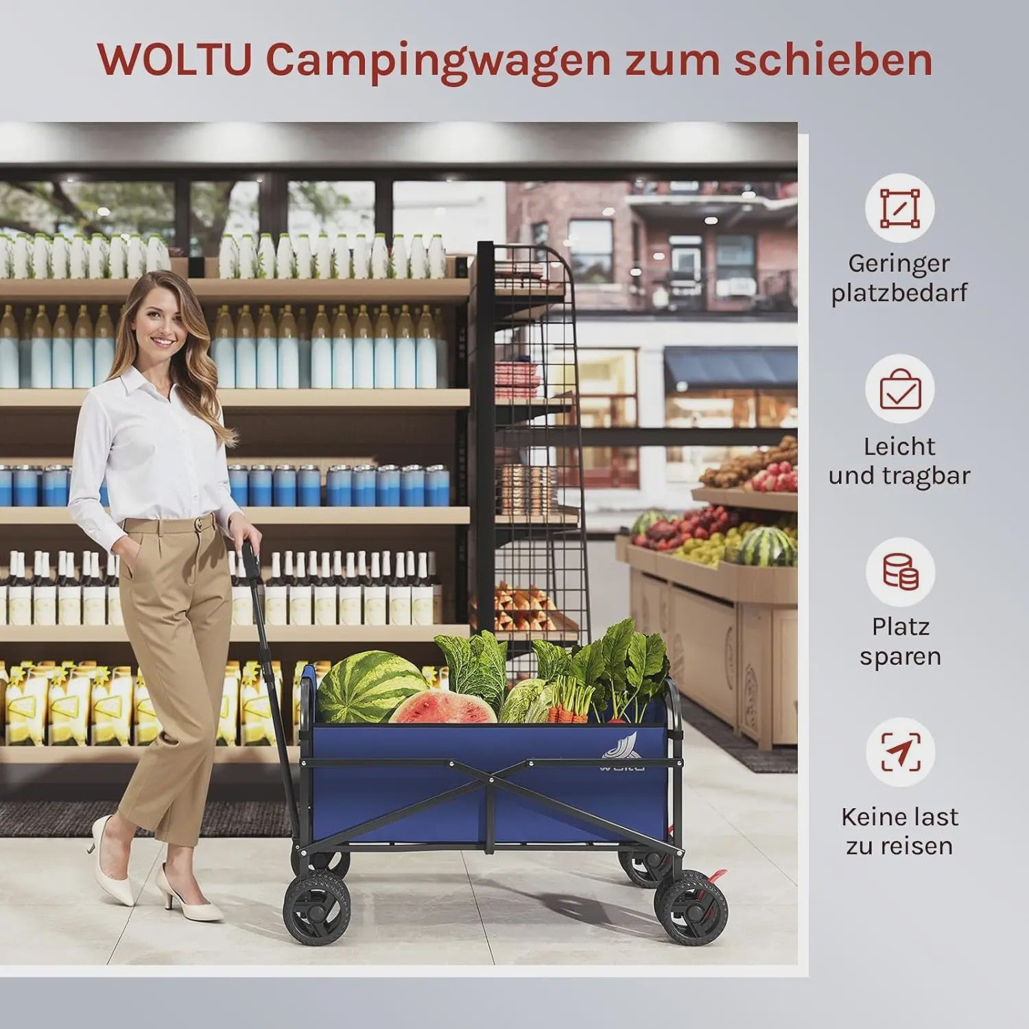 WOLTU Transportkar met Remmen - Opvouwbare Steekwagen voor Tuin, Camping & Strand