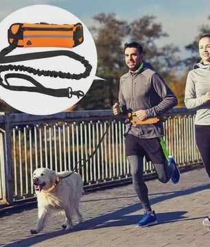 Handsfree Hondentuig met Heuptas - Reflecterend, Intrekbaar & Elastisch voor Lopen & Rennen