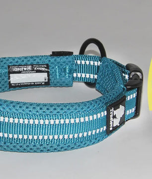 Truelove Verstelbare Hondenhalsband - Gewatteerd Mesh, 3M Reflecterend Nylon, Duurzaam & All-Weather, 8 Maten