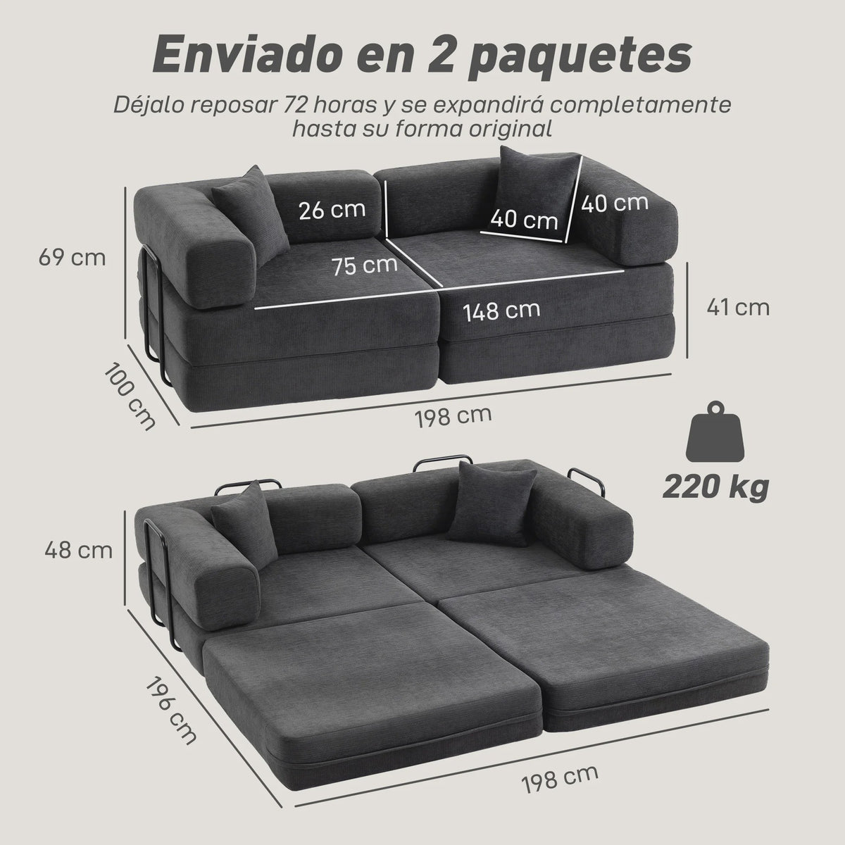 HOMCOM 2-Zits Sofa Bed - Inklapbare Bank met Chenille Bekleding en 2 Kussens
