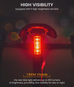 RAVEMEN TR250 Fiets Achterlicht - Oplaadbaar, 250 Lumen, Remlicht Sensor & IPX6 Waterdicht