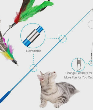 11-delige Katten Speelgoed Set met Veren en Intrekbare Hengel - Interactief Plezier voor Jouw Kat