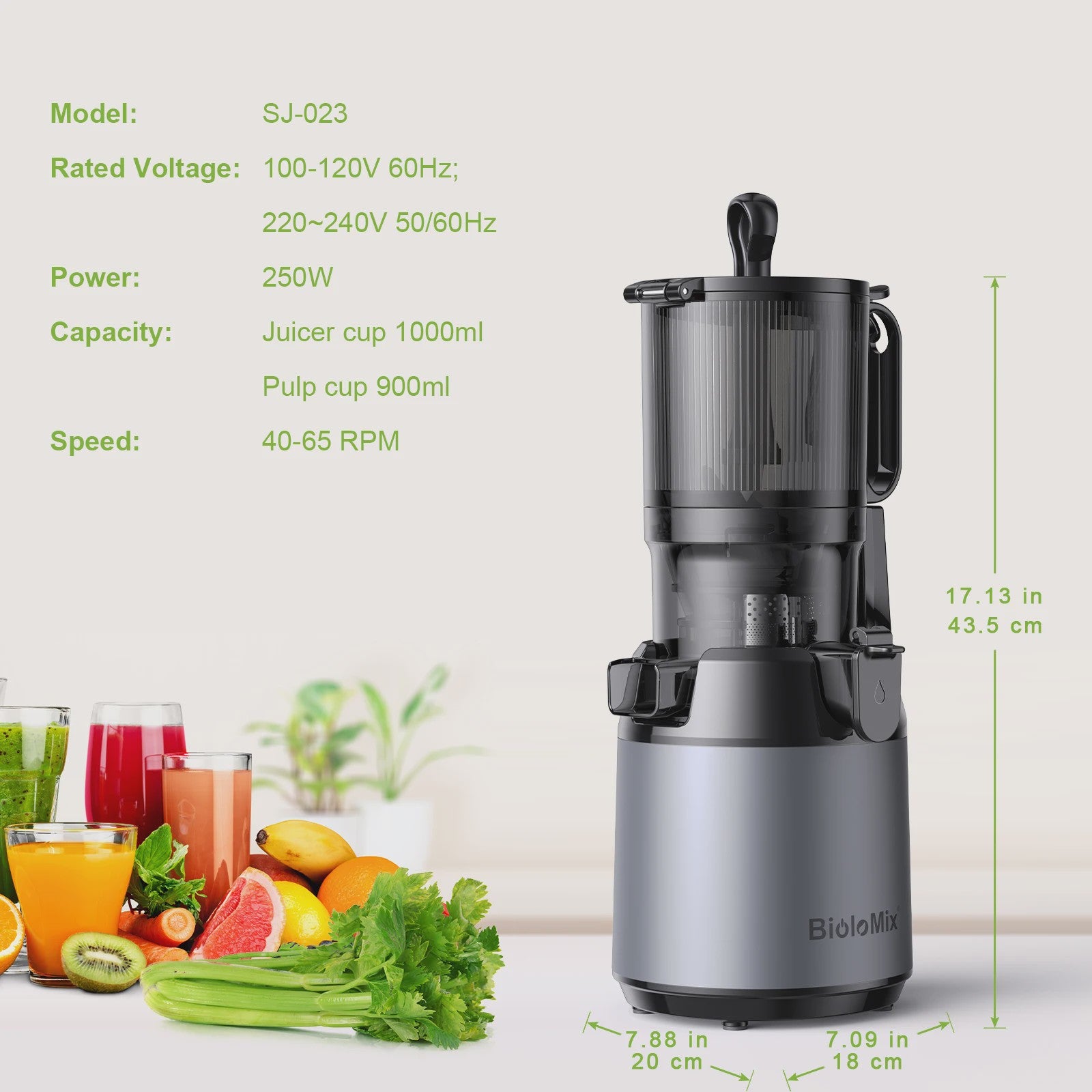 BioloMix Slow Juicer Cold Press met 130mm invoertrechter - Hoge sapopbrengst, BPA-vrij