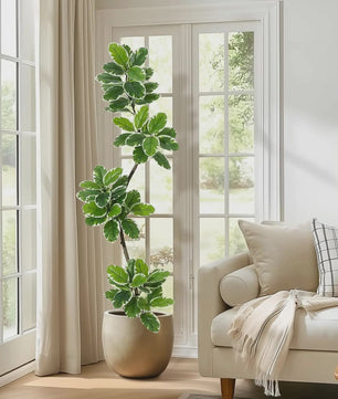 Realistische Kunstplant Ficus Lyrata (Fiddle Leaf Fig) - 180cm - Met Pot en Mos