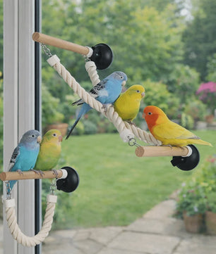 Vogel Speeltouw met Zuignap - Klimtouw, Schommel & Ladder voor Papegaaien en Vogels - Plezier & Verrijking