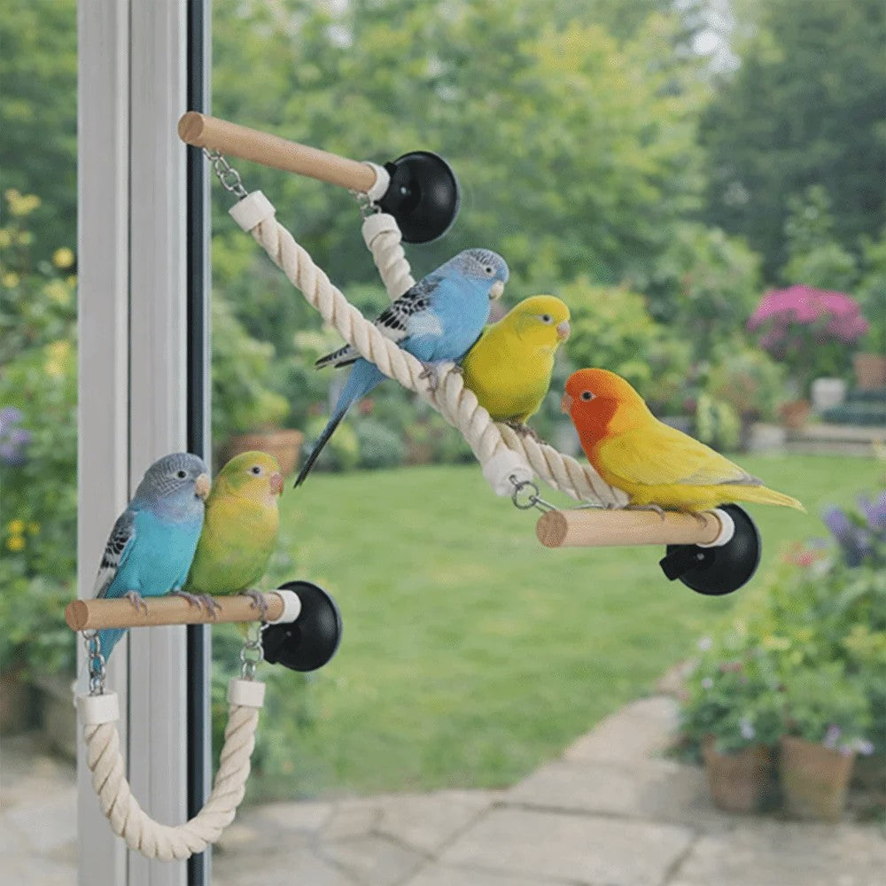 Vogel Speeltouw met Zuignap - Klimtouw, Schommel & Ladder voor Papegaaien en Vogels - Plezier & Verrijking