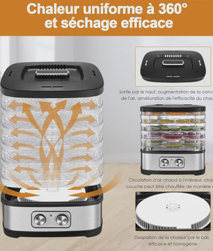 Food Dehydrator met 5 Verstelbare Trays en Temperatuurregeling (35-70°C)