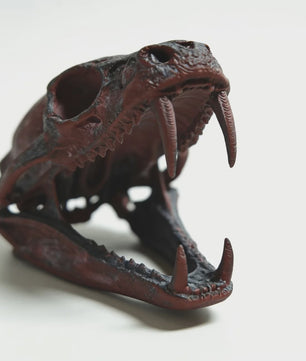 Angstaanjagend Cobra Schedel Standbeeld - Uniek Woondecoratie & Desktop Ornament