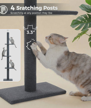 Verstelbare Plafond Kattenboom met Krabpalen - Klimtoren voor Binnen