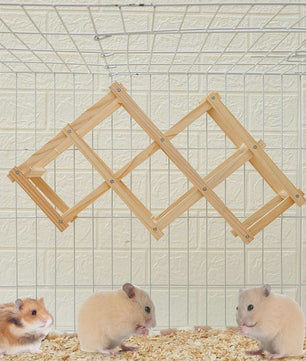 Houten Klimspeelgoed voor Hamsters en Kleine Dieren - Natuurlijk & Veilig