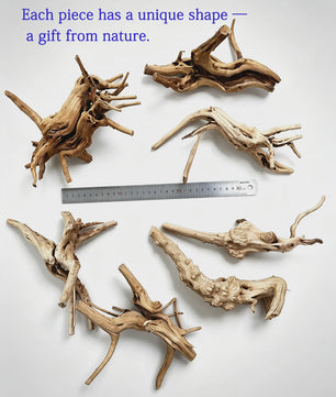 Uniek Drijfhout Decoratie voor Aquarium en Terrarium - Natuurlijke Wortelstructuren (7-26cm)