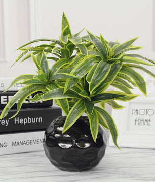 Kunstplant 36cm met 3 Bamboe-achtige Takken - Tropische Decoratie