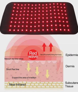 3-in-1 LED Infrarood Therapie Body Pad - Draagbare Wrap voor Rug, Schouder, Taille - 660/850 NM