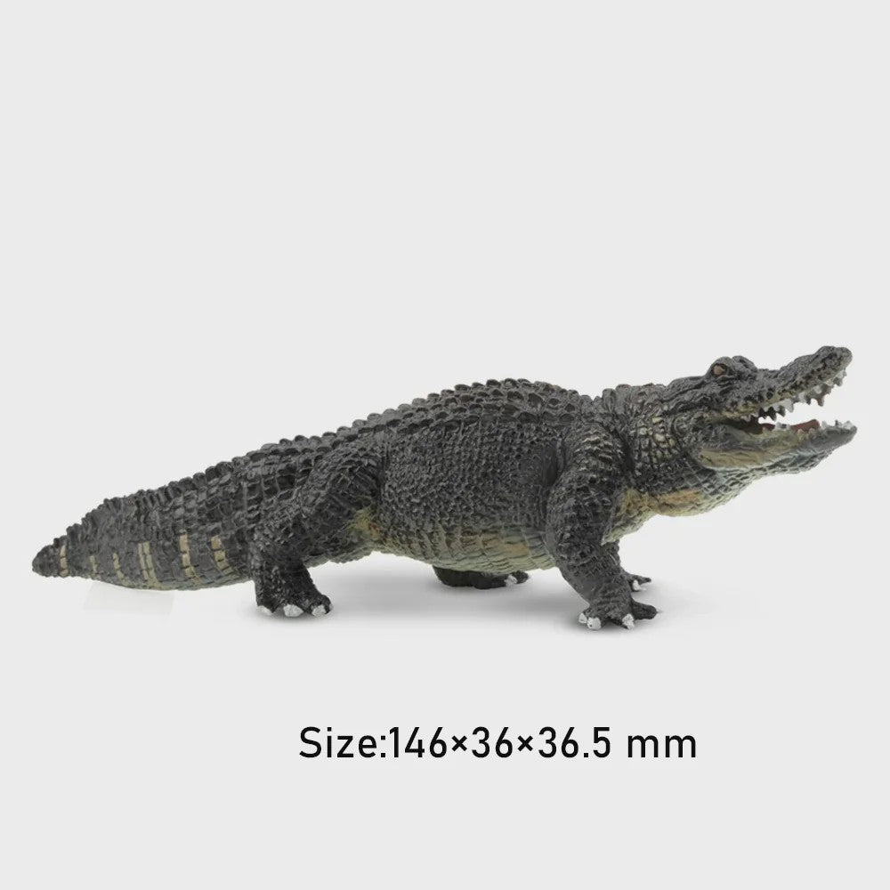 Realistische Alligator Speelfiguur - Wildlife Model voor Kinderen, Cadeau & Taartdecoratie