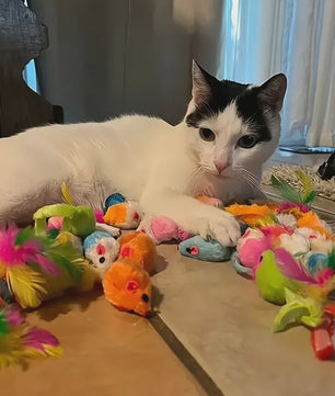 Grote Mix Katten Speelgoed Set (14/28/56 Stuks) - Plastic & Pluche Speeltjes voor Uren Plezier