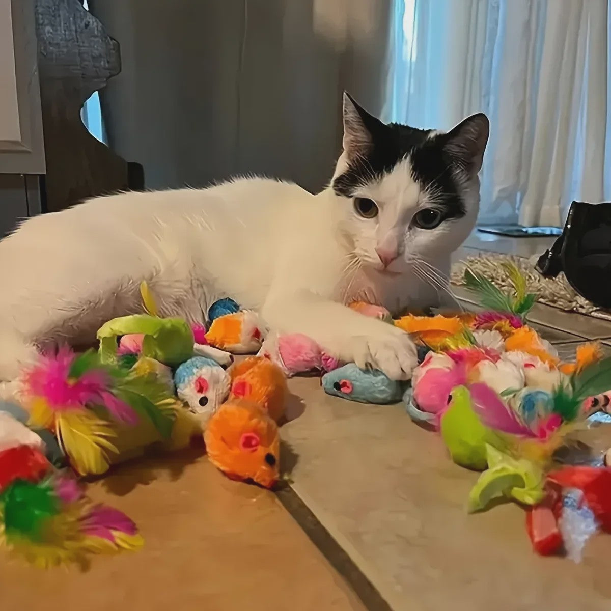 Grote Mix Katten Speelgoed Set (14/28/56 Stuks) - Plastic & Pluche Speeltjes voor Uren Plezier