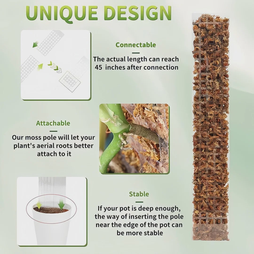 Mospaal voor Klimplanten - Stevige Plantensteun voor Binnen & Tuin