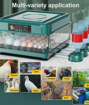 Automatische Broedmachine voor 9-48 Eieren met Constante Temperatuur & Automatische Keerfunctie
