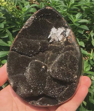 Septarian Draken Ei Kristal Geode - Zwart Kwarts voor Spirituele Heling & Decoratie