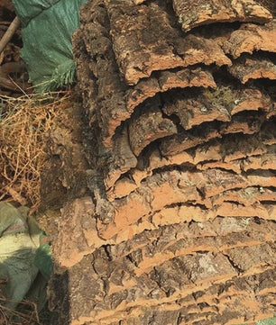 Natuurlijke Boomschors Decoratie voor Aquarium & Terrarium - Creëer een Realistische Achtergrond