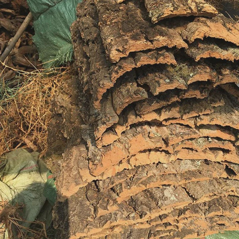Natuurlijke Boomschors Decoratie voor Aquarium & Terrarium - Creëer een Realistische Achtergrond