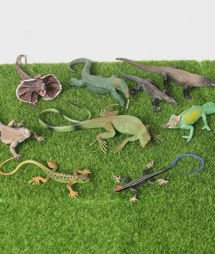 Realistische Reptielen Speelgoedset: Kameleon, Leguaan, Baardagaam & Meer