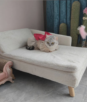 Luxe Verhoogd Hondensofa Bed met Rugleuning & Pluche Kussen - Stijlvolle Lounger voor Kleine/Middelgrote Honden & Katten