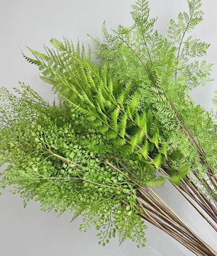 Realistische Kunstvaren Takken - Handgemaakt & Elegant Groen Decor