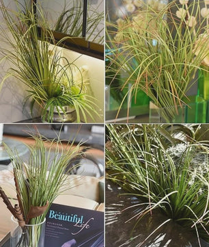 30x Kunstplant 50cm Donkergroen met Rood Puntje - UV-bestendig voor Binnen & Buiten Decoratie