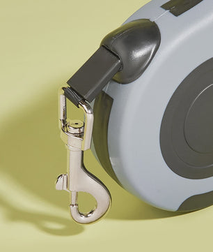 Automatische Intrekbare Hondentuig 3m/5m - Sterk Nylon Lijn voor Puppy tot Grote Hond & Kat