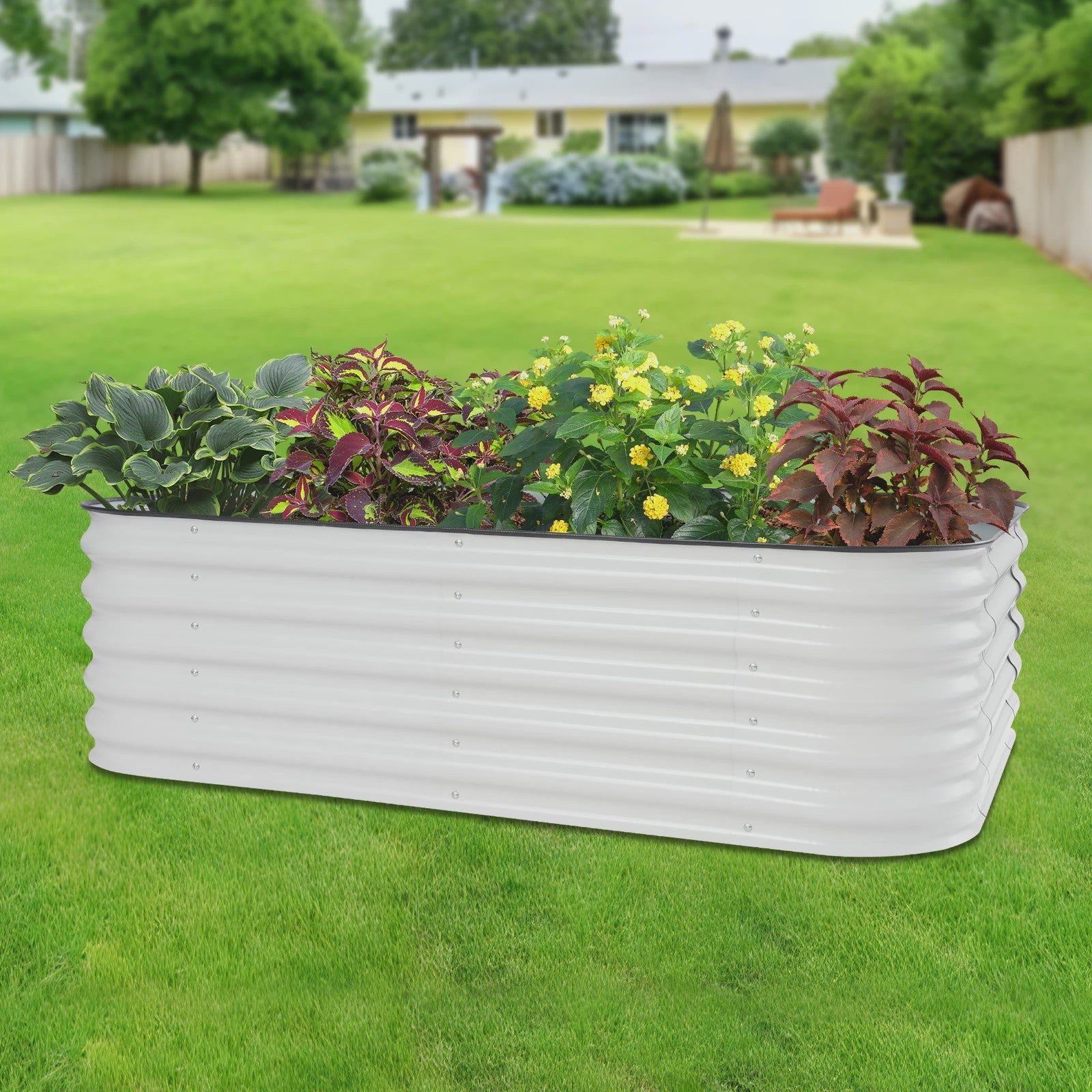 Verhoogd Plantenbed Verzinkt Staal Ovaal 195x60x43cm - Wit/Lichtgrijs