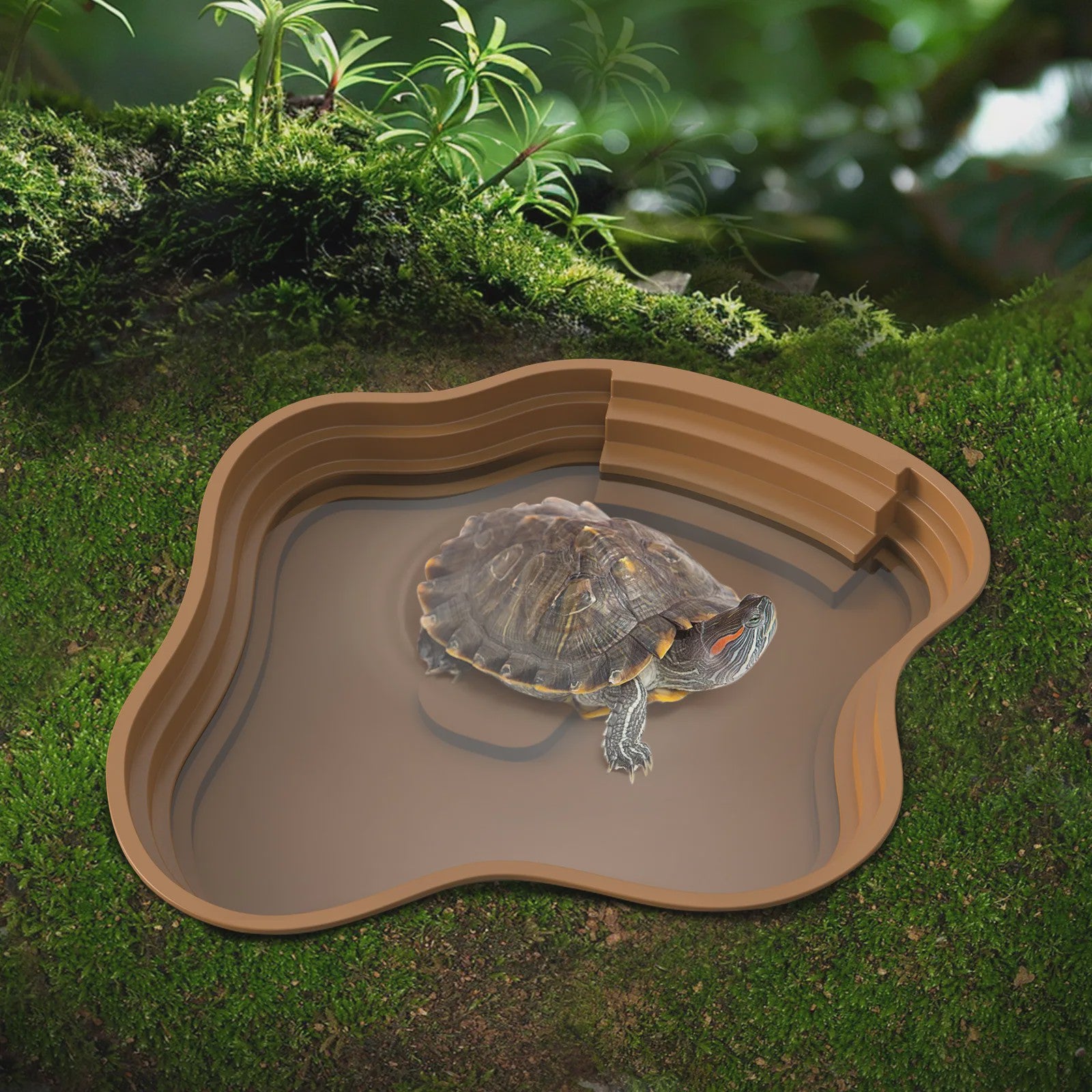 Multifunctionele Reptielen en Amfibieën Badkuip, Voerbak & Waterbak
