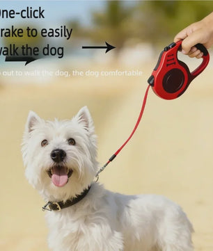 Automatische Intrekbare Hondentuig 3m/5m Nylon Lijn voor Kleine Honden en Katten