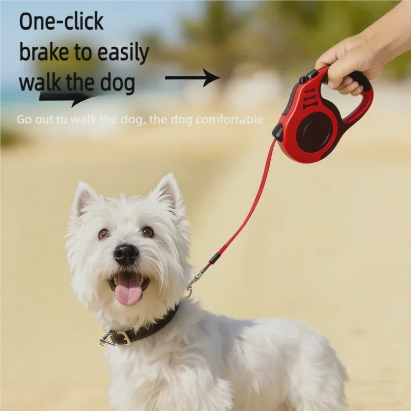Automatische Intrekbare Hondentuig 3m/5m Nylon Lijn voor Kleine Honden en Katten