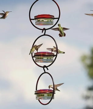 Hangende Kolibrivoederaar - Ronde Water Voeder voor Tuin en Balkon